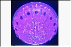 Люстра "зерк.круг.лепест. D=500" LED-RGB светильник потолочный 3770/5 d500 E14 RBP MP3